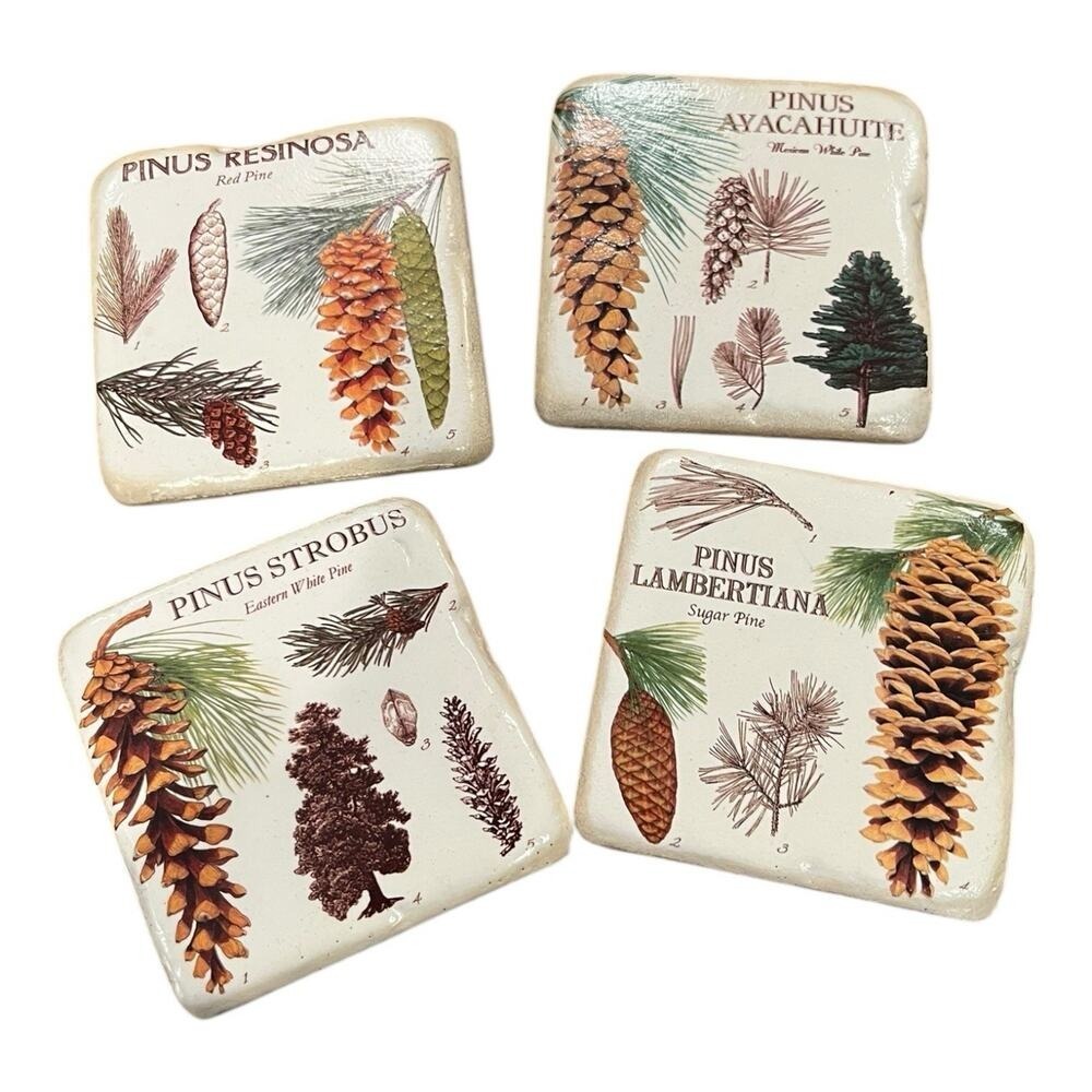 Set 4 Pine Cone Coasters 3.50" Resin/Stone Coasters Rustic Cabin Lake‎ EUC